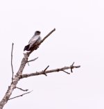 DSC_6058.jpg