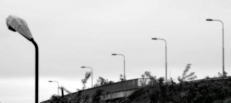 lightpoles bw.jpg