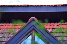 roof-elements.jpg