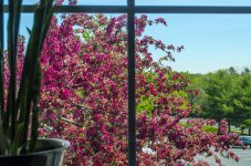 Window_003a_1.jpg