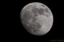 DSC_9112.jpg