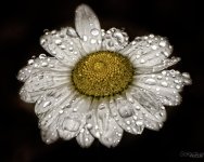 Day132-2.jpg
