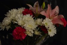 DSC_4198.jpg
