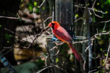DSC_4863.jpg