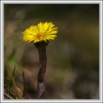 DSC_0324.jpg
