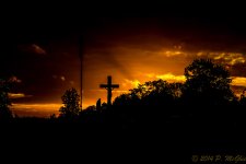 DSC_9132.jpg