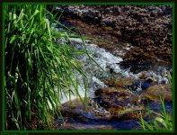 Small Stream.jpg