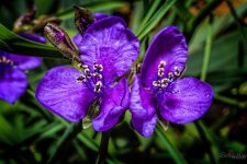 Day133-1.jpg