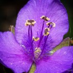 Day133-3.jpg