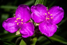 Day133-4.jpg