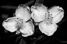 Day133-5.jpg