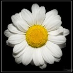 Day133-7.jpg