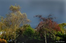 Threatening sky LOL.jpg