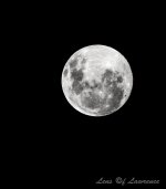 Moony LOL.jpg