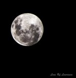 Moony 1.4X LOL.jpg