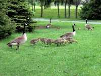 DSCN9710.jpg