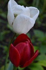 DSC_0191.jpg
