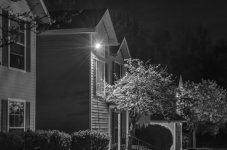 Night2_004a_1.jpg