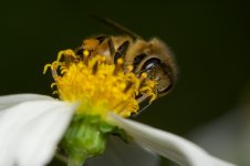 DSC_6016.jpg