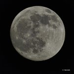 Moon.jpg