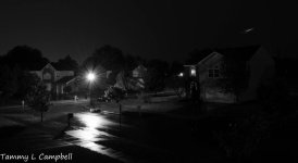 black and white-5321.jpg