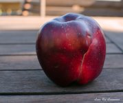 Apple Scarred LOL.jpg