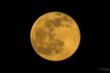 Day134-1.jpg