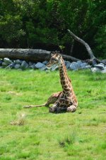 DSC_3052_edited.jpg