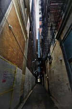 CLE Foggy DT 8_752.jpg