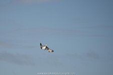 D8A_0577.jpg