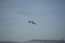 D8A_0578.jpg