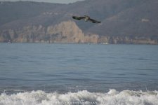 D8A_0579.jpg