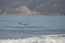 D8A_0583.jpg