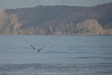 D8A_0587.jpg