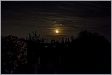 710_5076.jpg