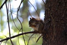 DSC_5350.jpg