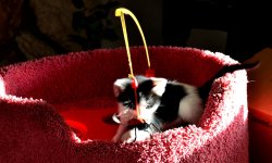 14th May 2014 -134 007.JPG