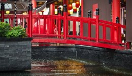 bridge-1.jpg