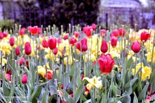 CLE Botanical Gardens 5.jpg