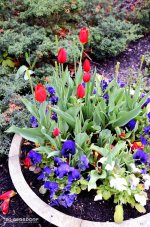 CLE Botanical Gardens 7.jpg