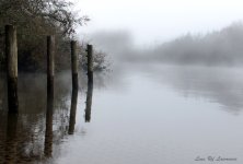 Foggy morning at the boat ramp LOL.jpg