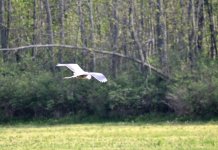 DSC_2994.jpg