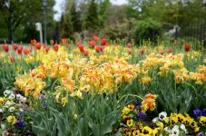 CLE Botanical Gardens 3b.jpg