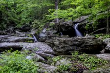 _DSC3978.jpg