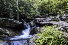 _DSC3983.jpg
