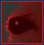 My Cells.jpg