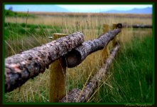 Fence.jpg