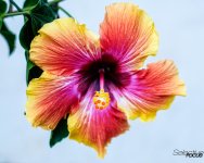 Day138-1.jpg