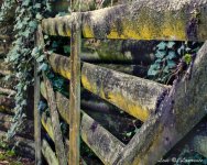 Yard gate LOL.jpg