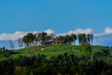 DSC_5059.jpg